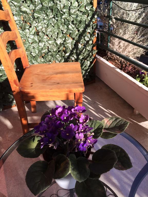 Shelisa B&B Rome Buitenkant foto