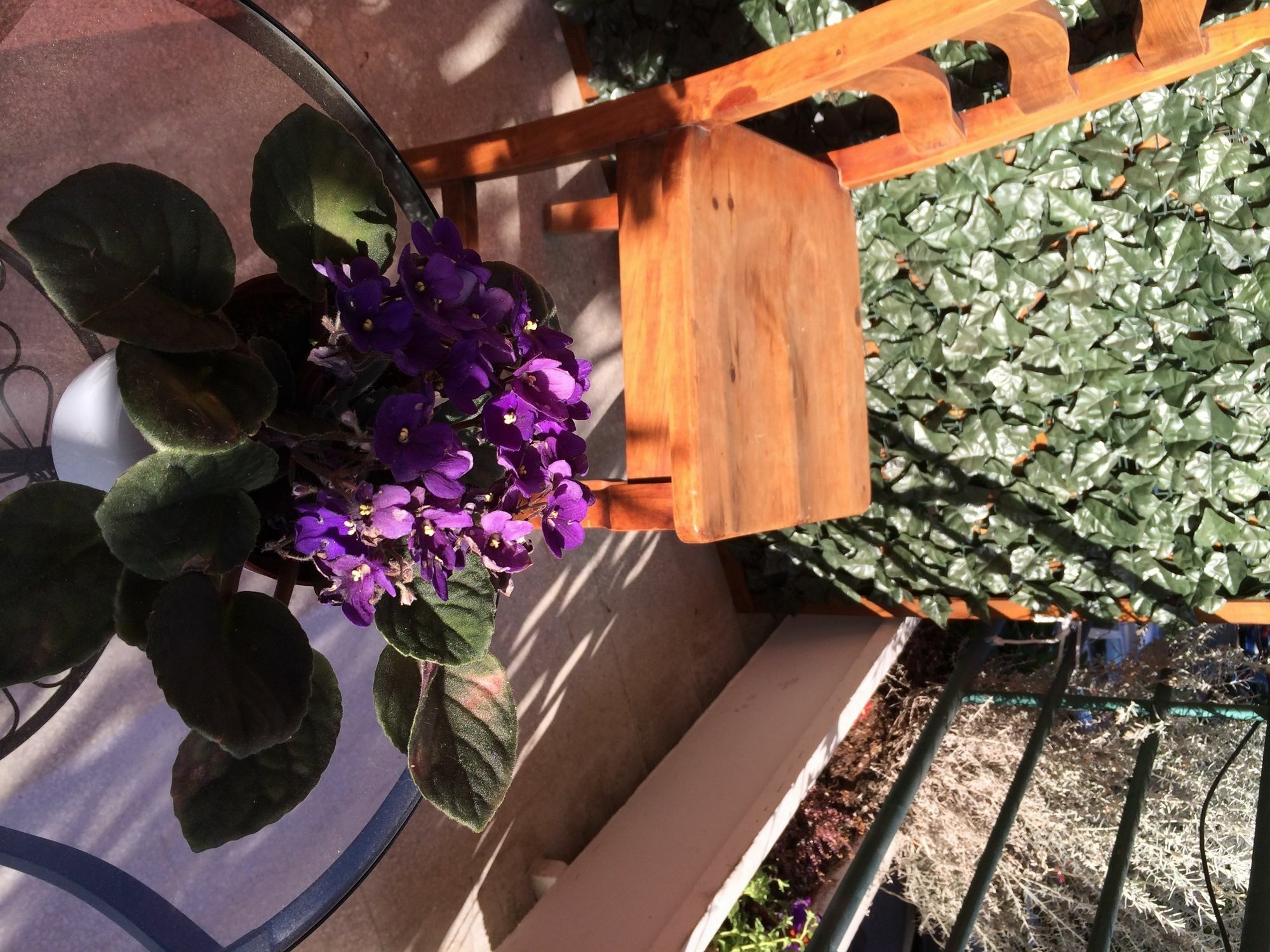 Shelisa B&B Rome Buitenkant foto
