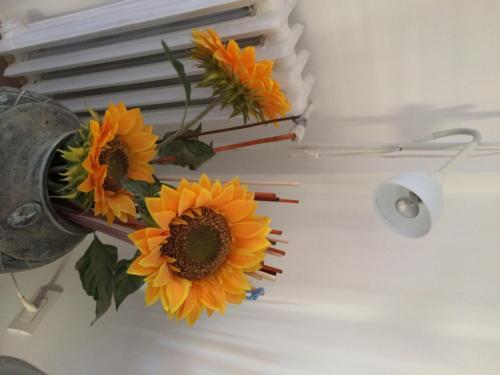 Shelisa B&B Rome Buitenkant foto